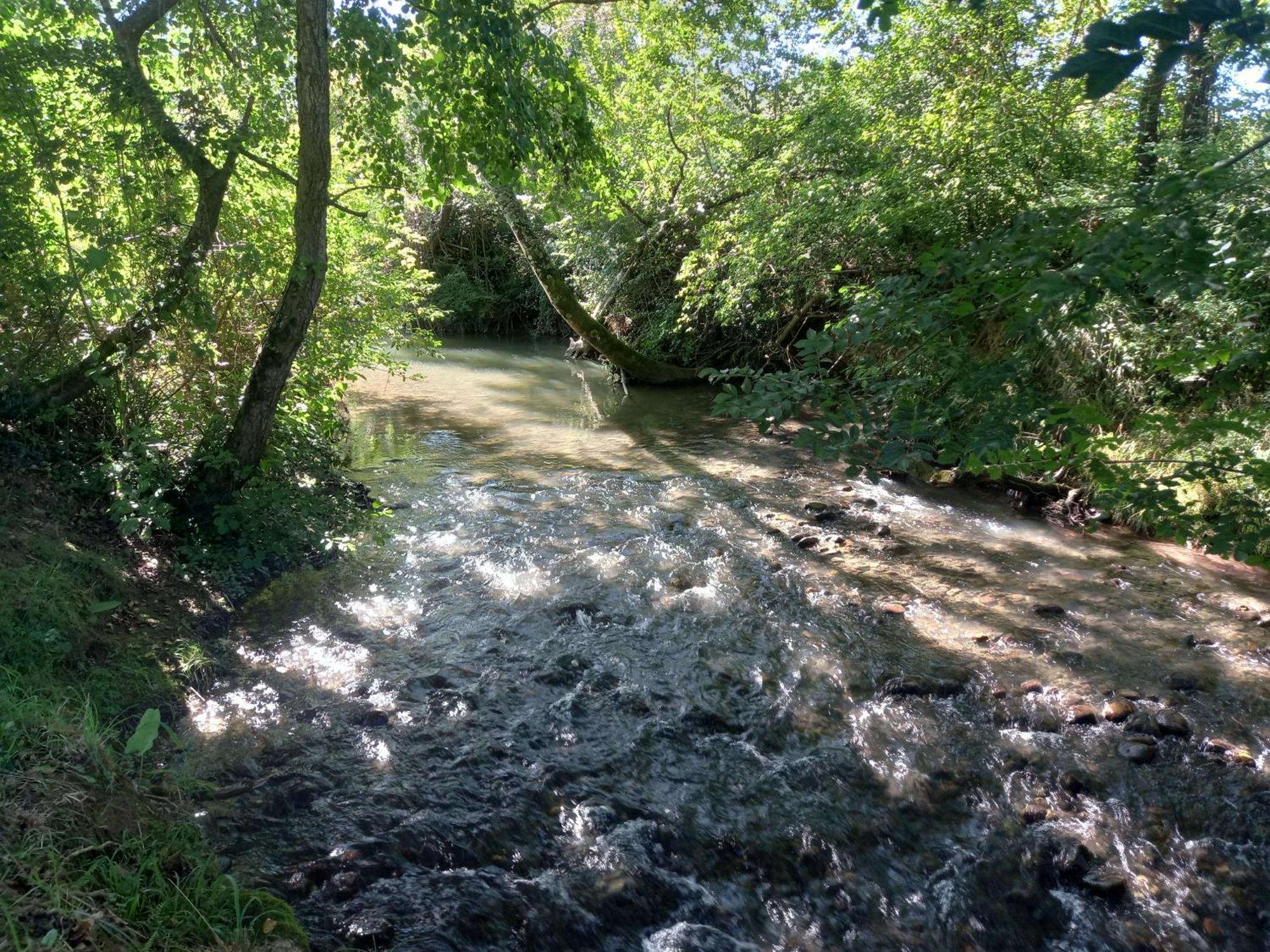 L'Oasis Des Pyrenees Βίλα Campuzan Εξωτερικό φωτογραφία