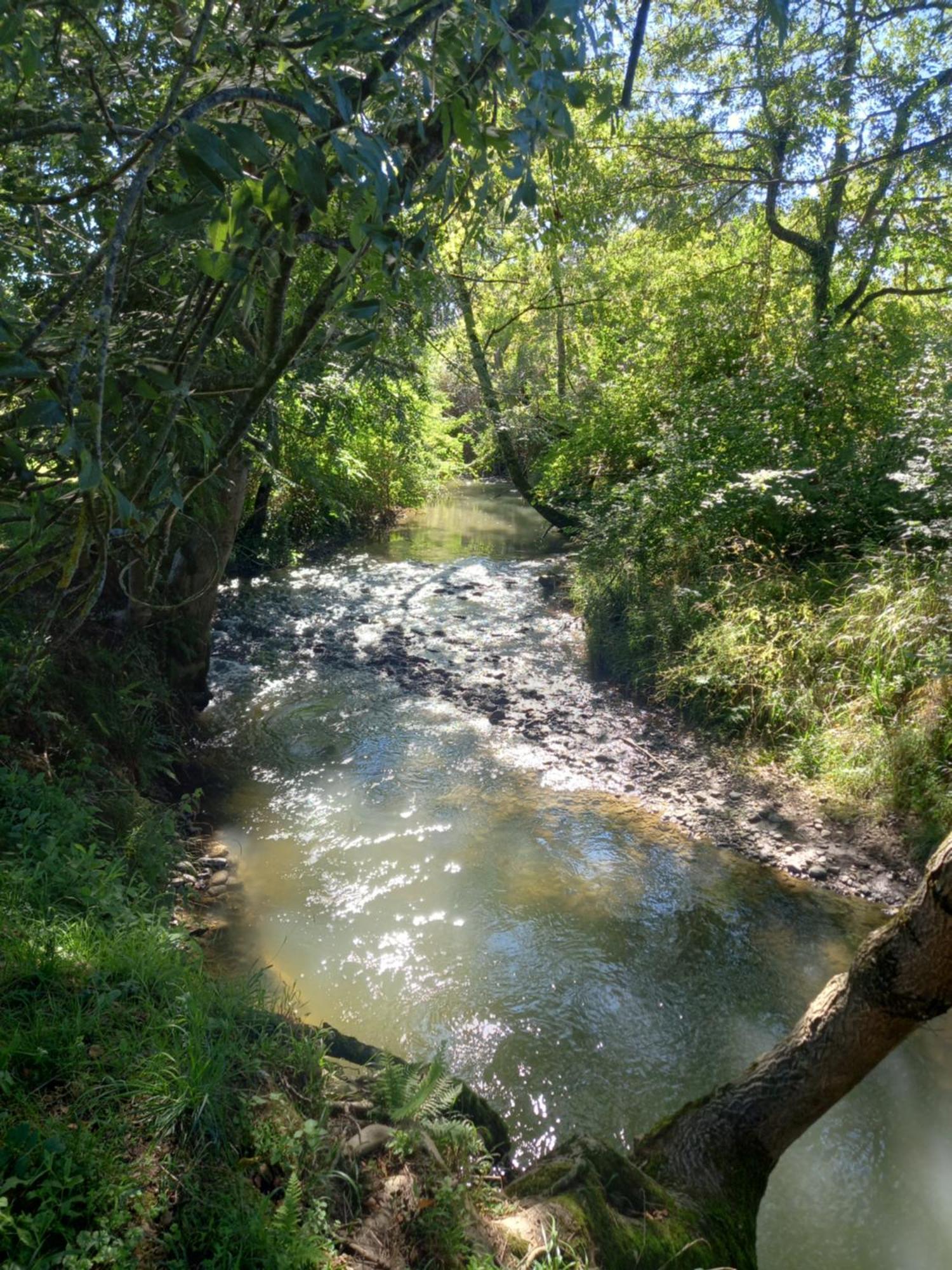 L'Oasis Des Pyrenees Βίλα Campuzan Εξωτερικό φωτογραφία
